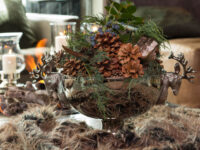 Aluschale Hirsch verschiedene Größen